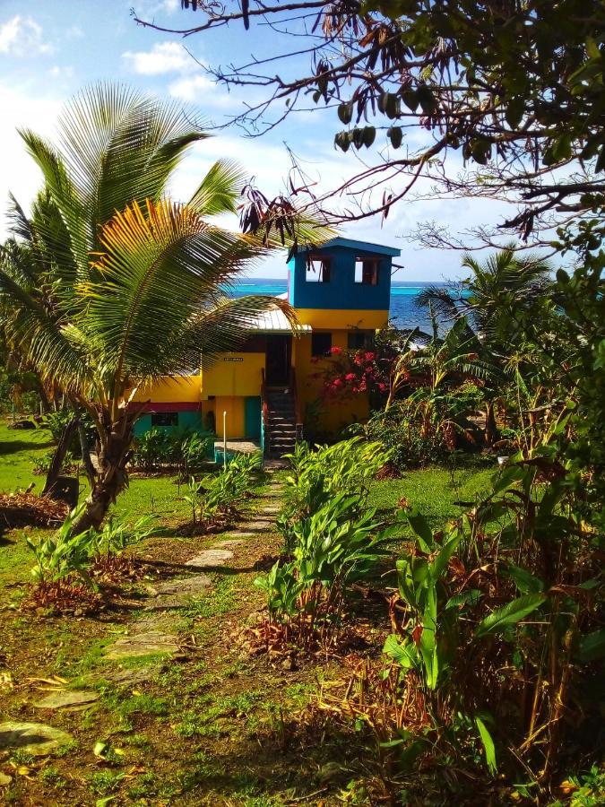 Windy View Guest House Archibolds Exterior foto