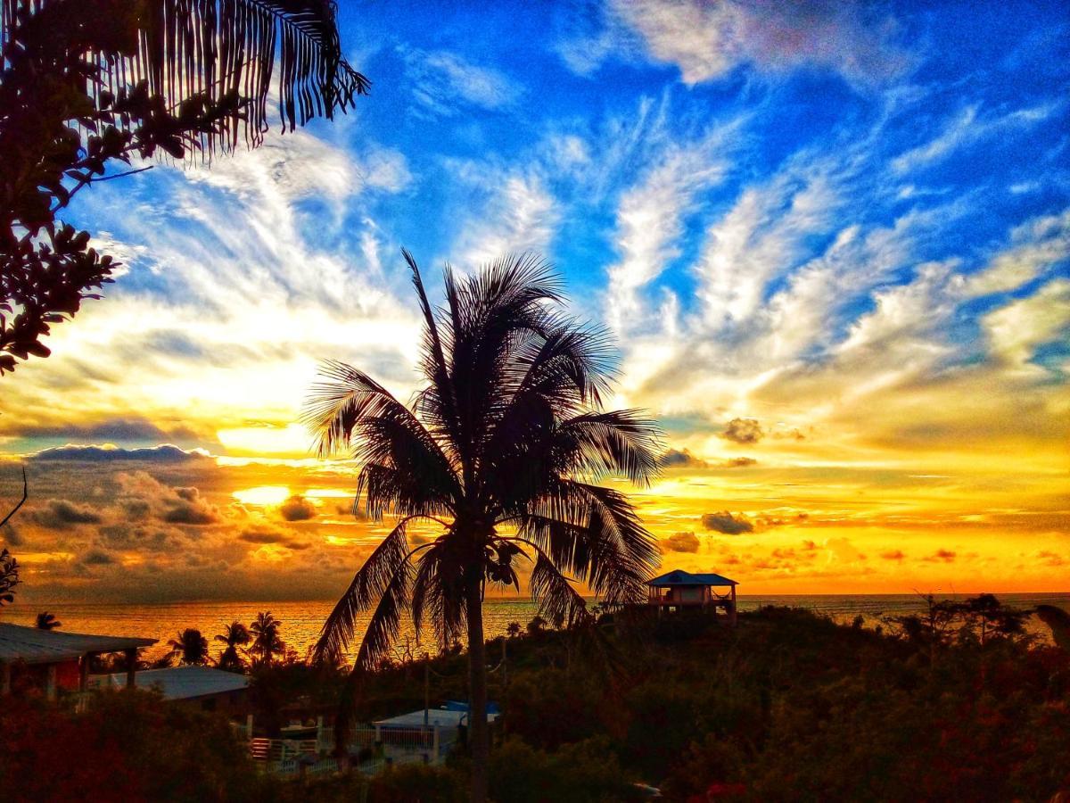 Windy View Guest House Archibolds Exterior foto