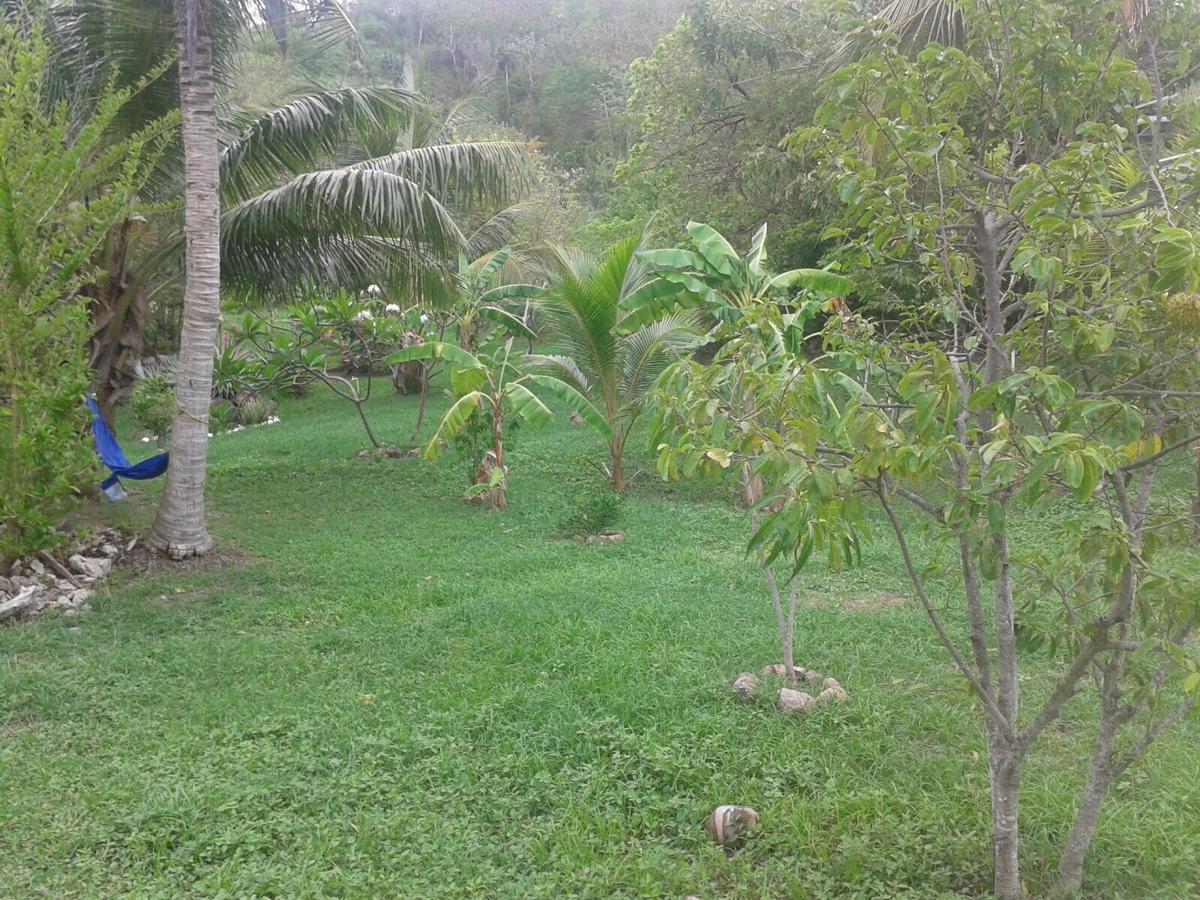 Windy View Guest House Archibolds Exterior foto
