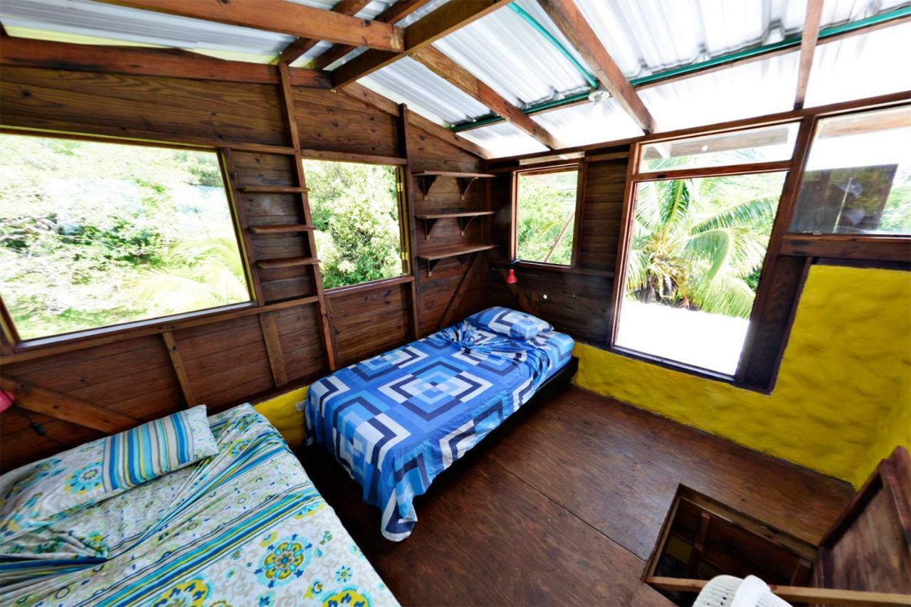 Windy View Guest House Archibolds Exterior foto